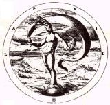 logo Venus PF